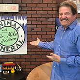 Animal General Podcast | Listener Questions, 5th Airing