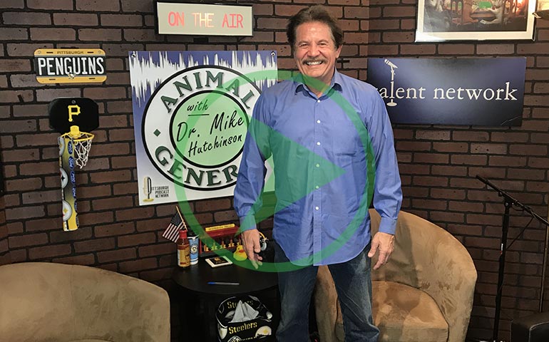 Animal General Podcast | Listener Questions, 6th Airing