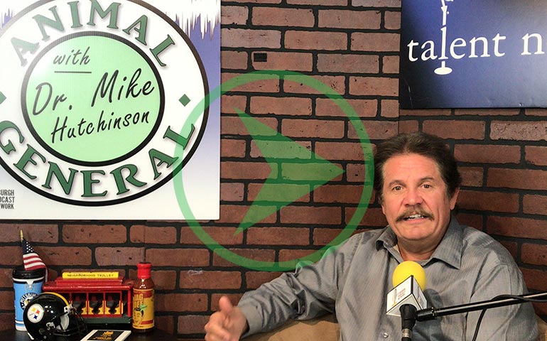 Animal General Podcast | Blindness in Dogs