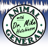 Podcast Logo